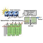 Thousandfold Improvement in Solar Photobioreactors