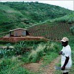 A New Framework for Evaluating Agrarian Development