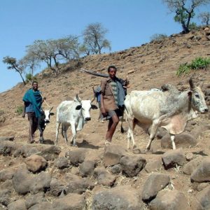 Crowdsourcing Rangeland Ecology Data