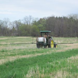 Reassessing Roundup