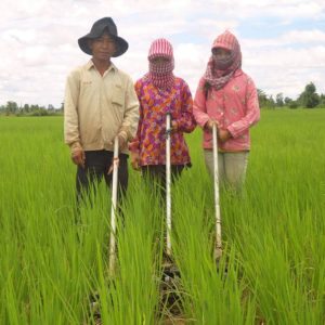 New Tech for an Ancient Food