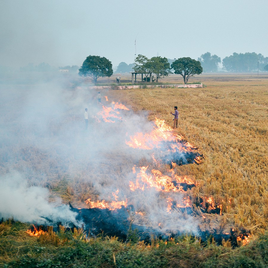 Bending Agricultural Burning Trajectories in Eastern India
