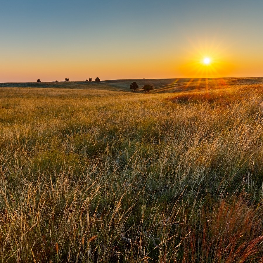 Protecting Biodiversity and Air Quality on the Prairie