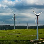 University Collaboration on Wind Energy