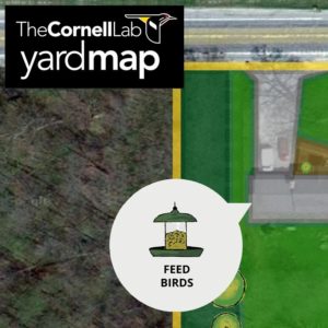Expanding Bird Habitats at Home