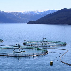 Tracing Aquaculture Feed Sources to Guide Mitigation of Biodiversity ...