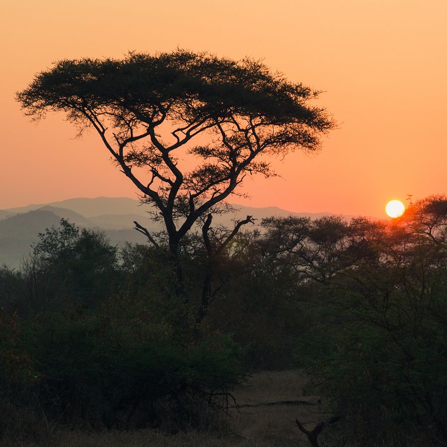 Malawi sunset