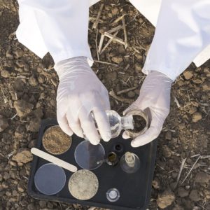 scientist in the field