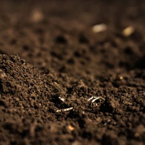 Soil