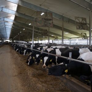 Measuring Emissions of Methane and Ammonia Gas From NY Dairy Farms ...