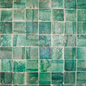 Engineered living tiles