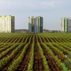 Farm with apartment buildings in background