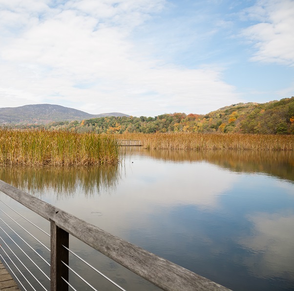 Hudson River Valley Marsh