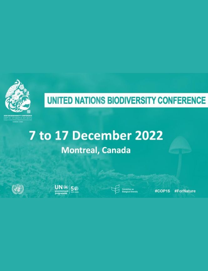 UN Biodiversity COP15