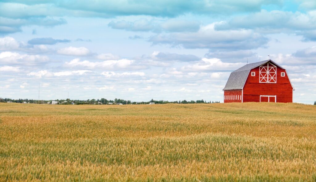 research on livestock feed