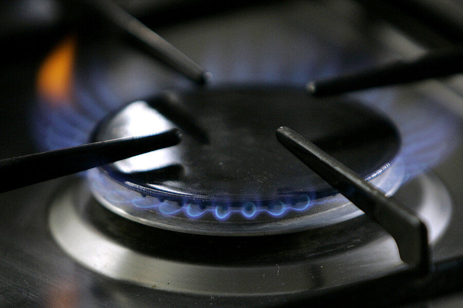 Gas stove burner