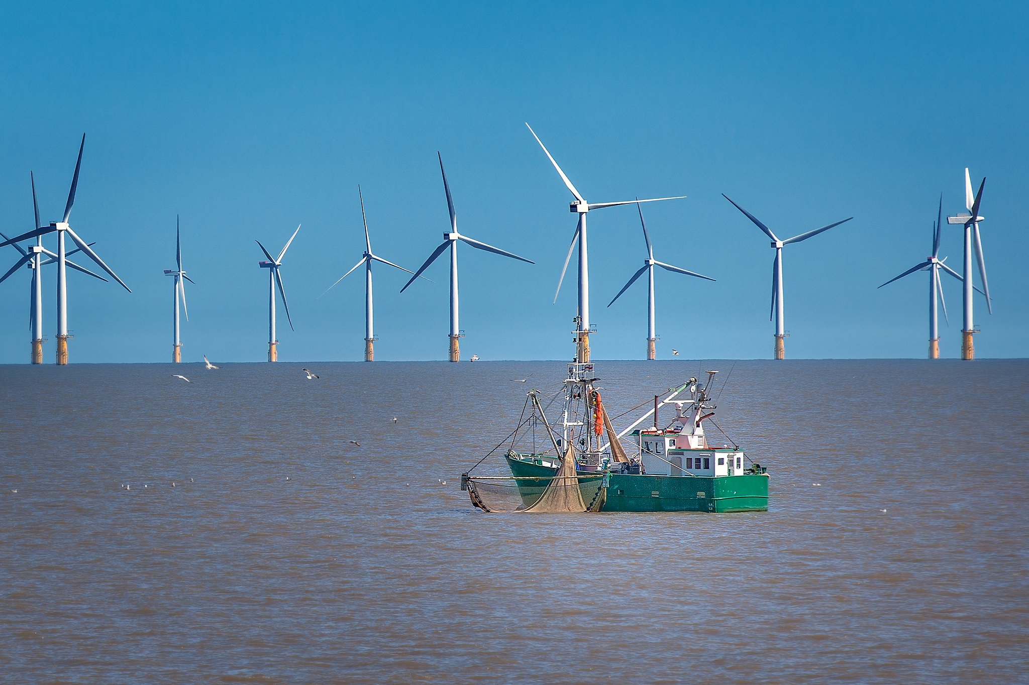 Fishing ship by offshore wind turbines