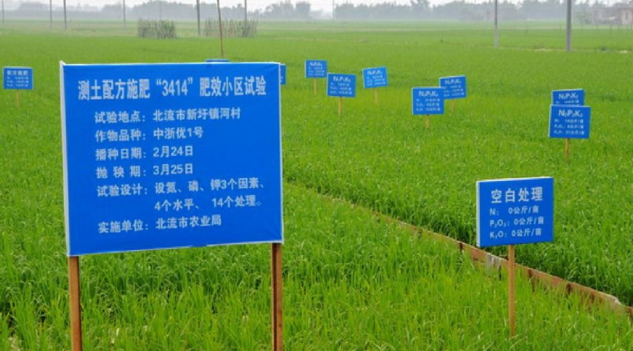 A field site in China from the National Soil Test and Fertilizer Recommendation Projects, which were conducted from 2005-13. 