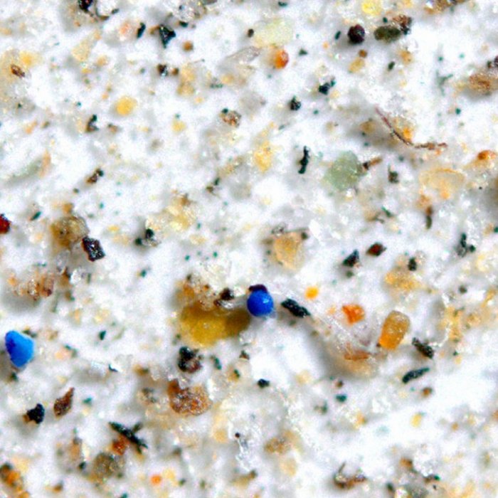 Microplastics under a microscope