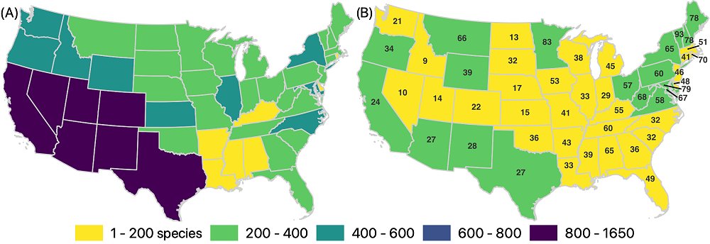 Number of Species Sampled per State and Time