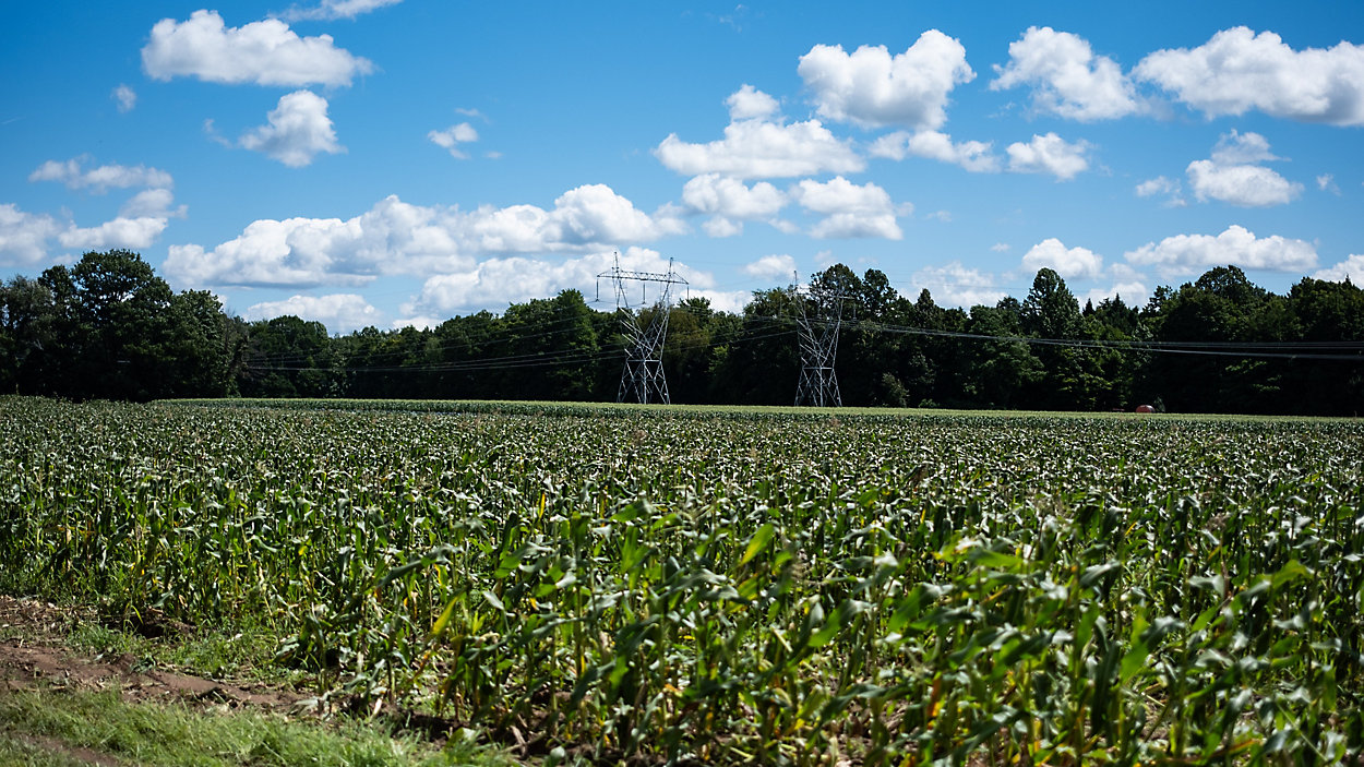 A farm in Central New York that built solar panels to power part of their operation.