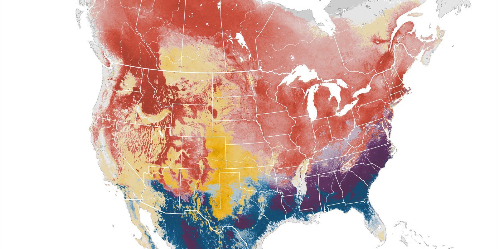 2022 Abundance Map for the Chipping Sparrow