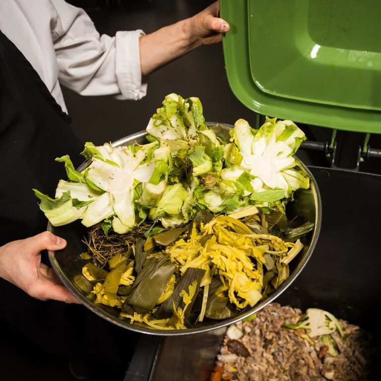 Using Artificial Intelligence for Reducing Food Waste in Commercial ...