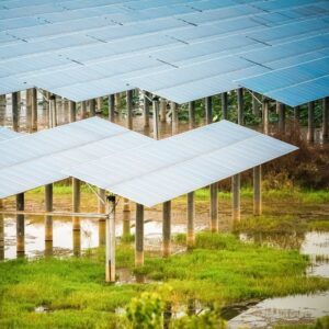 Solar Panels installed above a swamp