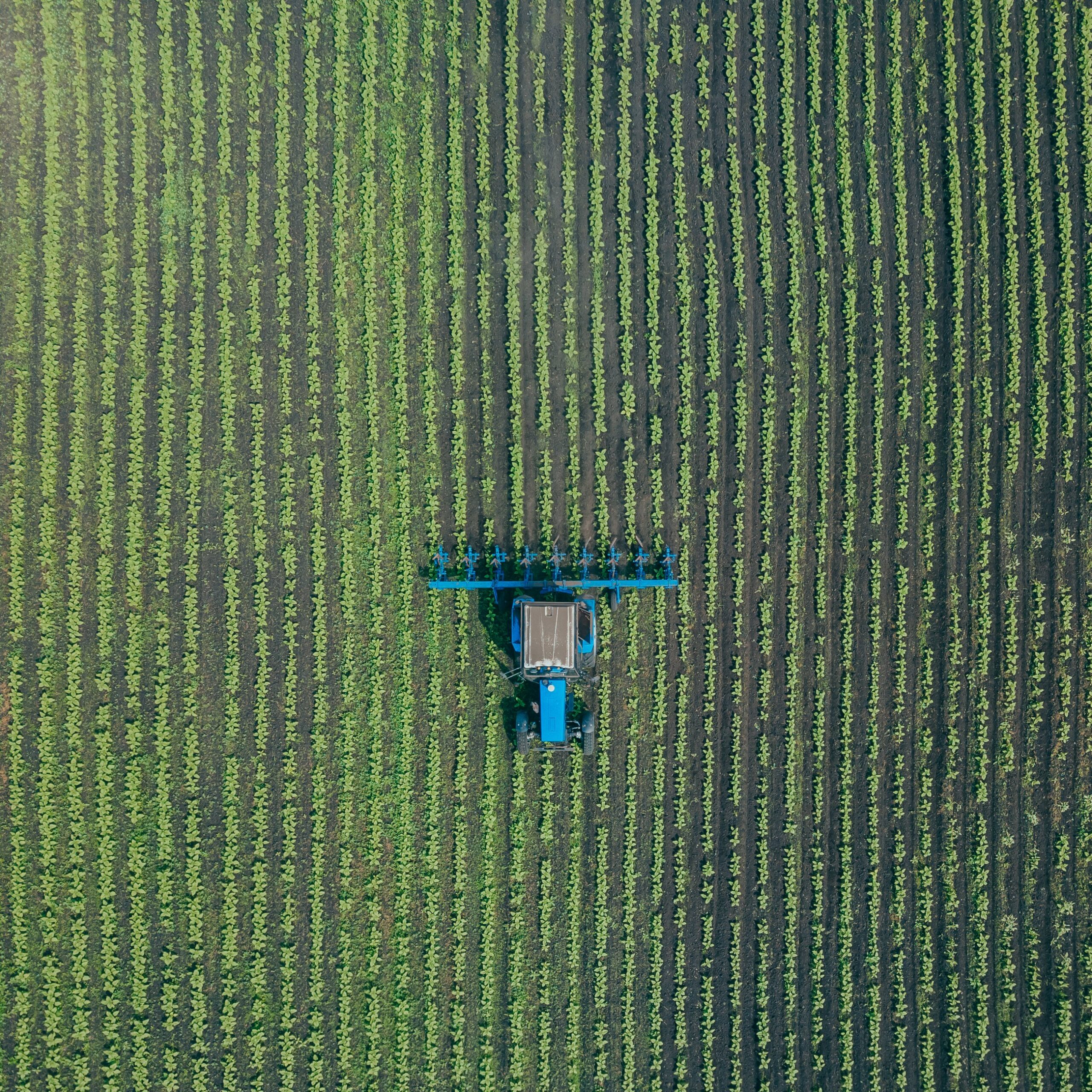 Aerial view of farmer tractor plowing in field