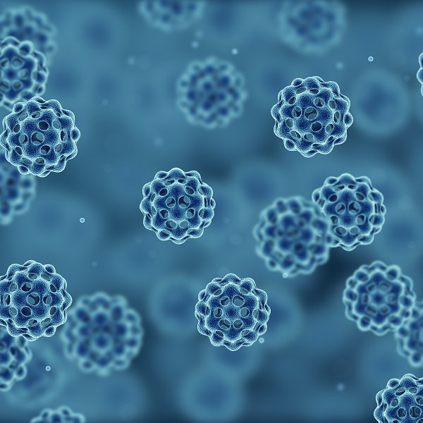 Bacterial cell or virus, 3d generated view from microscope (iStock)