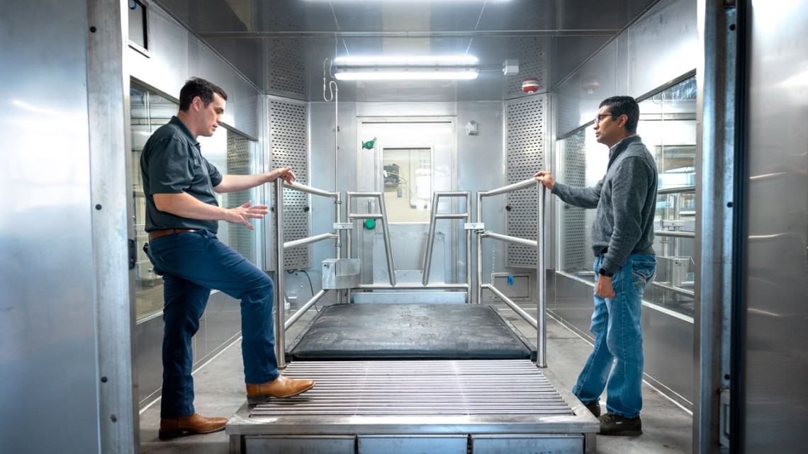 Joe McFadden + dairy respiration chamber