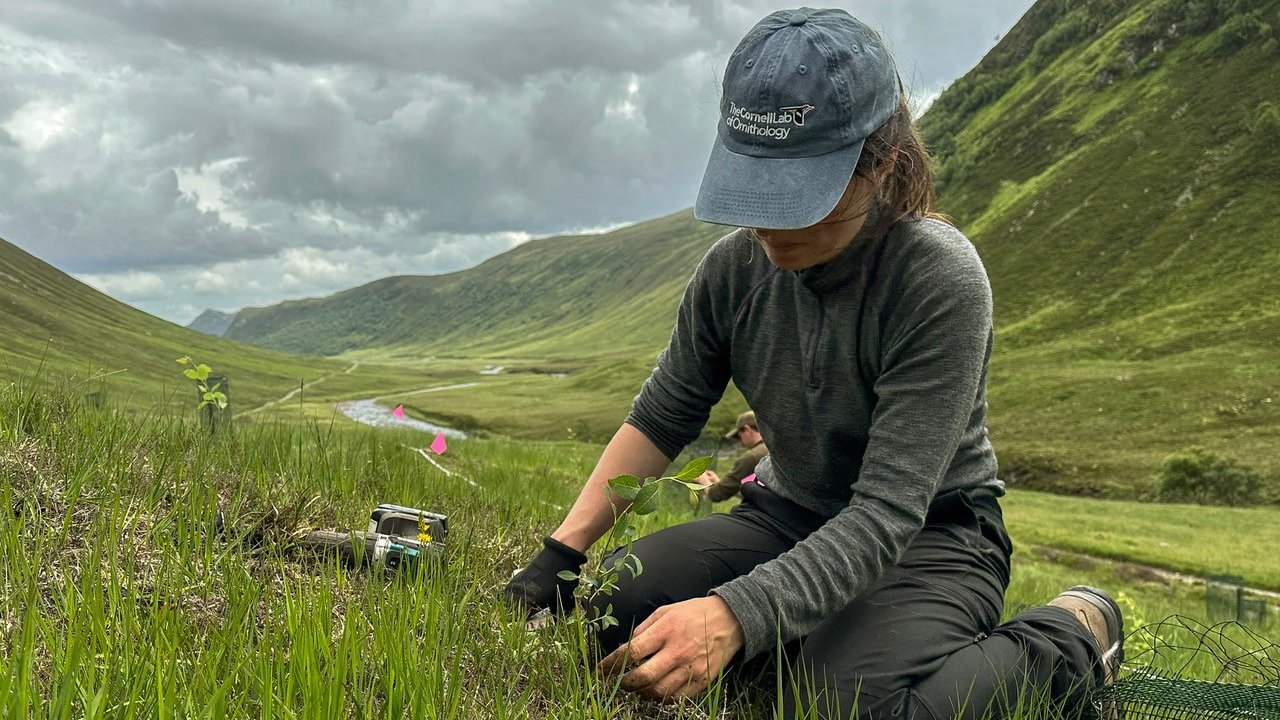 Grad student Hannah Kirkland in the field