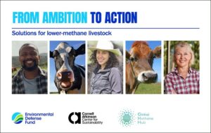 NYC Climate Week - Ambition to Action Methane Panels-750x475