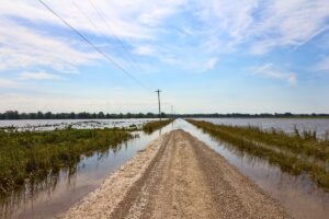 Flooded road and fields along the Mississippi River