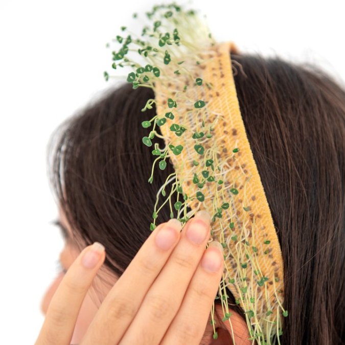A touch-sensing hairband with embedded chia sprouts for the  LivingLoom project in Cindy (Hsin-Liu) Kao's Hybrid Body Lab 