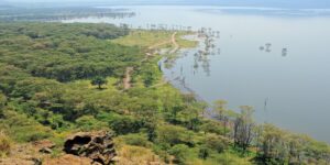 Aerial view of Lake Nakuru in Kenya (Canva)