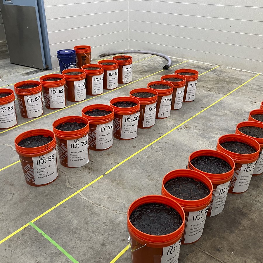 Manure gathered for testing