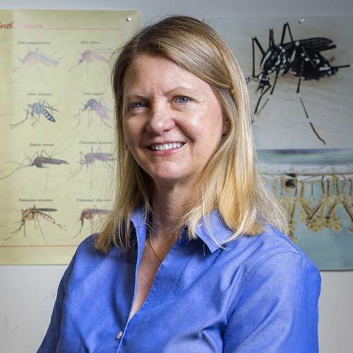 Laura Harrington in front of mosquito posters