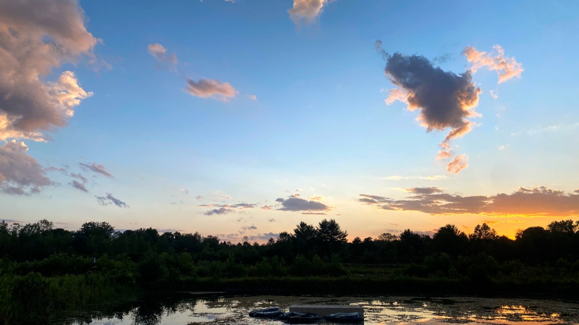 Pond plant corrals at the Cornell Experimental Pond Facility. (Photo credit: Meredith Theus)