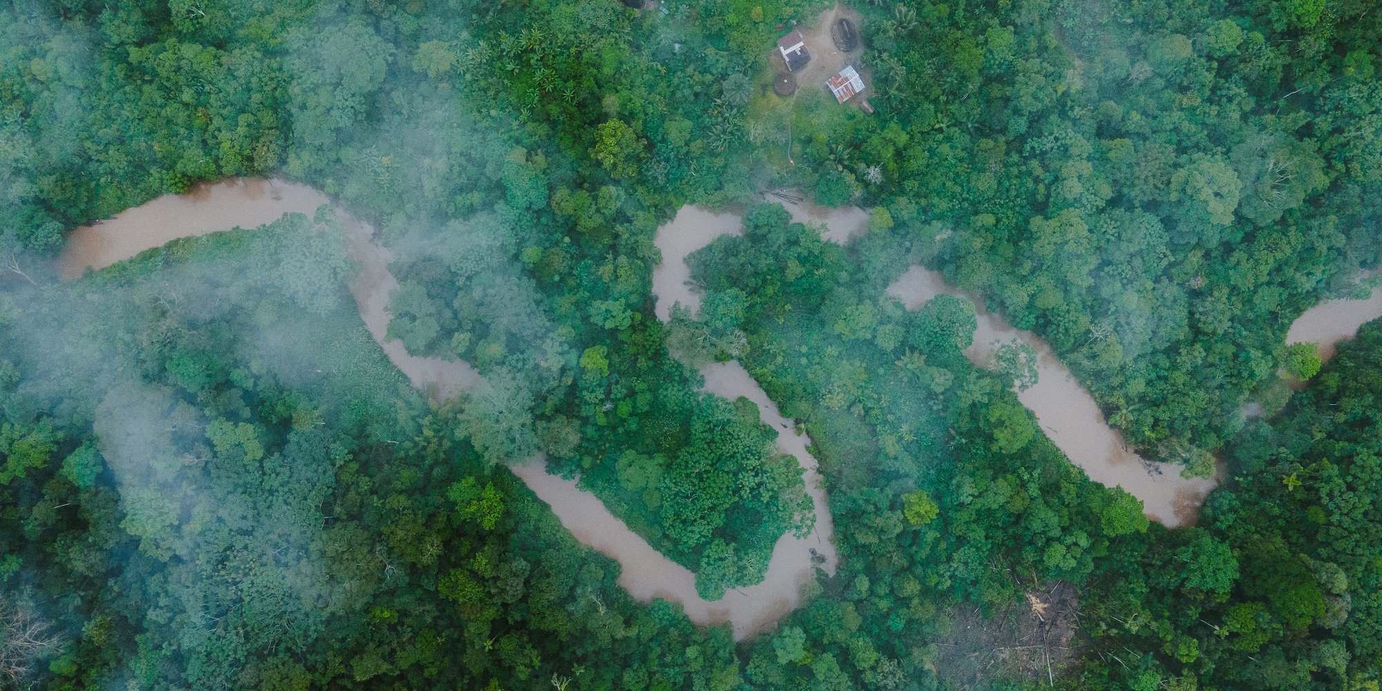 Amazon river winding through jungle