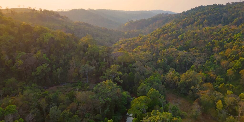 Sunset in Mondulkiri Project forest, Saen Monorom (Mondulkiri), Cambodia (iStock)