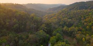 Sunset in Mondulkiri Project forest, Saen Monorom (Mondulkiri), Cambodia (iStock)