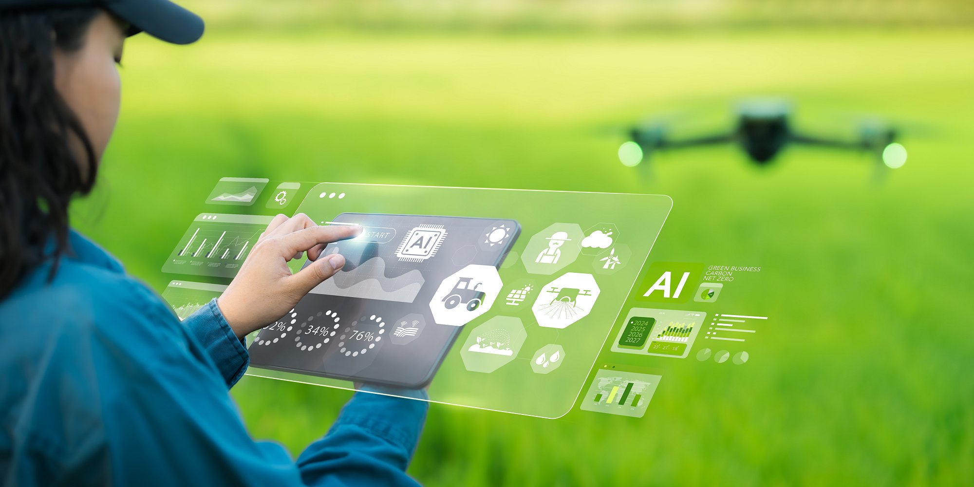 Farmer inspects and controls a drone in a green wheat field. (iStock)