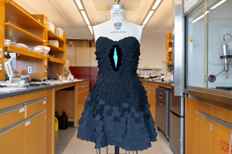 A black dress, created with the new ultrablack fabric (seen around the blue patch). Credit: Ryan Young/Cornell University