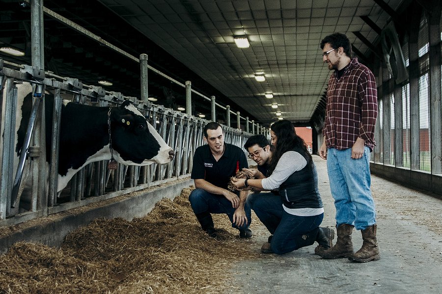 Joe McFadden and research group pose with a cow
