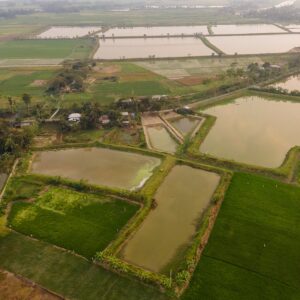 Aerial view of aquaculture fish ponds in Bangledesh