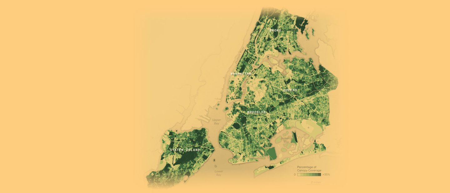 A map of NYC boroughs (excluding Manhattan) depicting % of canopy coverage