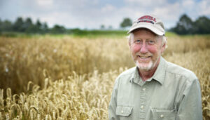 Mark Sorrells in a field of wheat