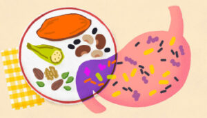 Illustration of various foods before and after broken down in stomach (Credit: Laila Milevski/Cornell University)