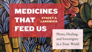 Cover for Stacey Langwick's new book